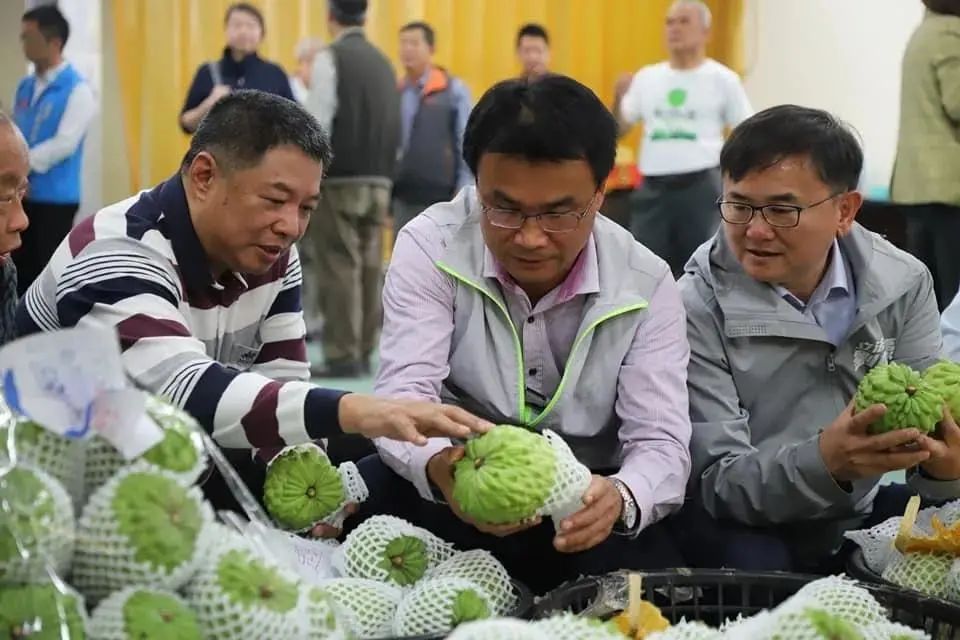 台湾凤梨释迦价格暴跌，农民叹赚不回工钱，蓝营喊重启大陆市场