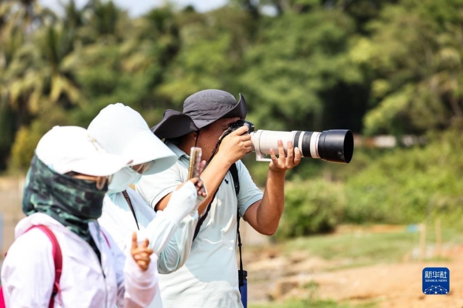 4月27日，海南东寨港国家级自然保护区内的工作人员和志愿者在进行鸟类多样性监测。