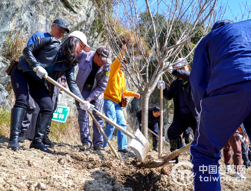 甬台一家亲，海曙台商台胞种下樱花林