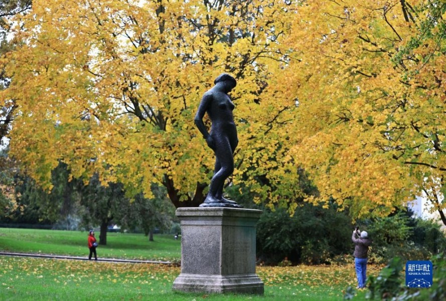 11月12日，人们在法国巴黎蒙苏里公园欣赏秋色。新华社记者 高静 摄