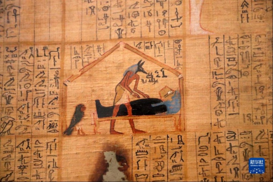 这是5月14日在位于埃及开罗的埃及博物馆拍摄的一幅绘有“阿努比斯”制作木乃伊的莎草画。新华社记者 隋先凯 摄