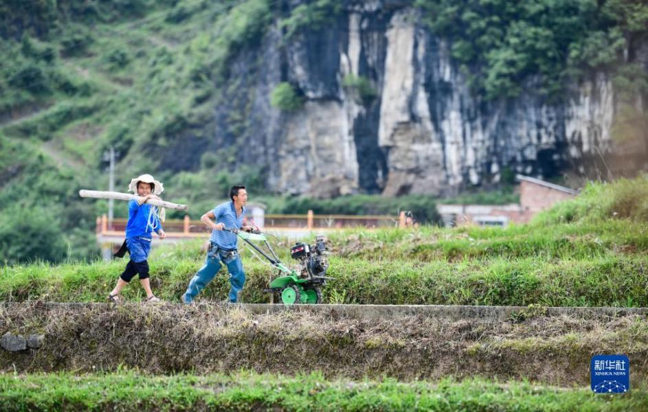 6月1日，贵州省贵定县沿山镇石板村的农民推着农机准备下地耕作。