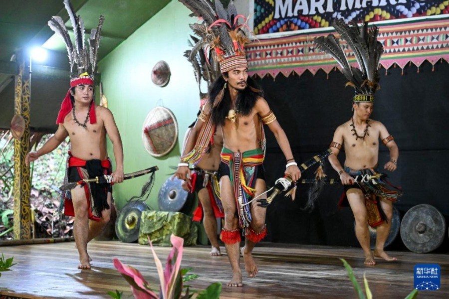 11月14日，在马来西亚沙巴州的马里马里文化村，原住民身着特色服饰进行舞蹈表演。新华社记者 程一恒 摄