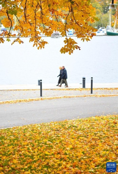 10月7日，两名行人走在瑞典斯德哥尔摩街头。新华社记者 任鹏飞 摄