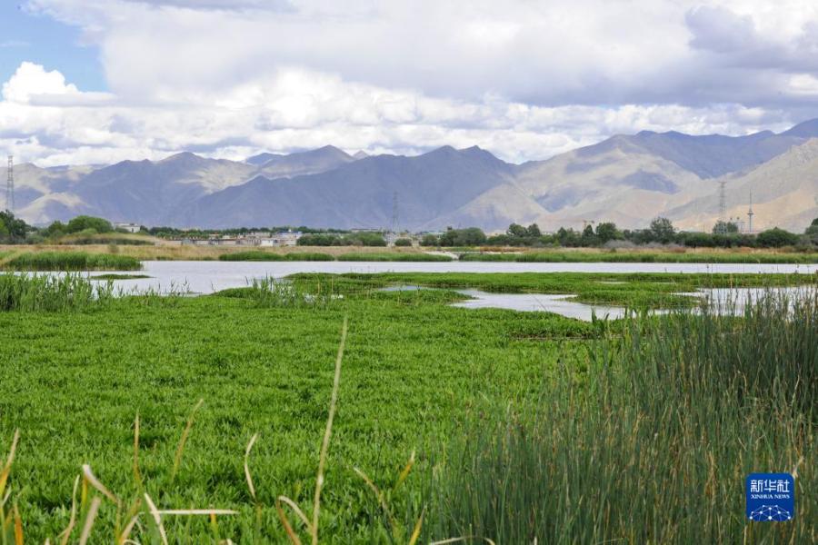 5月28日拍摄的拉鲁湿地一景。