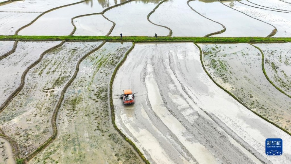 4月20日，在湖南省常宁市庙前镇双凤村，农民驾驶农机整理田地（无人机照片）。新华社发（周秀鱼春 摄）