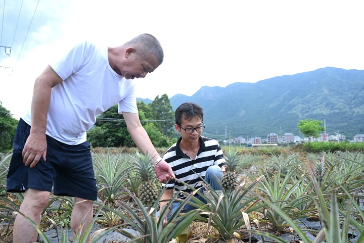 媒体关注：大陆积极探索两岸融合发展新路