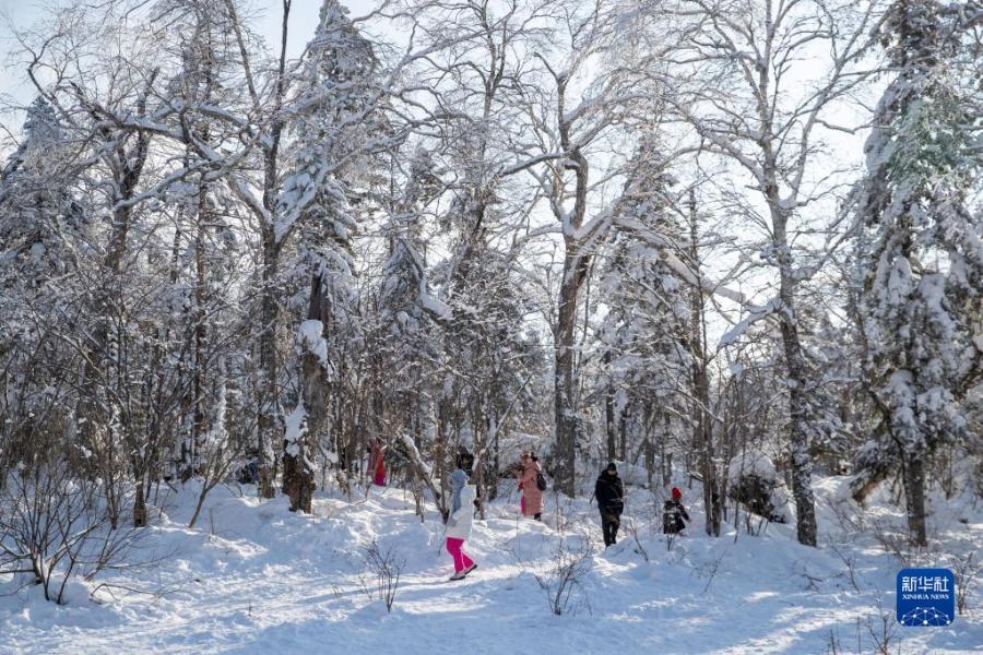 2月5日，游客在“冰雪画廊”游玩。