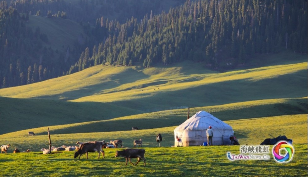 草原上的蒙古包（供图：陈荣江）