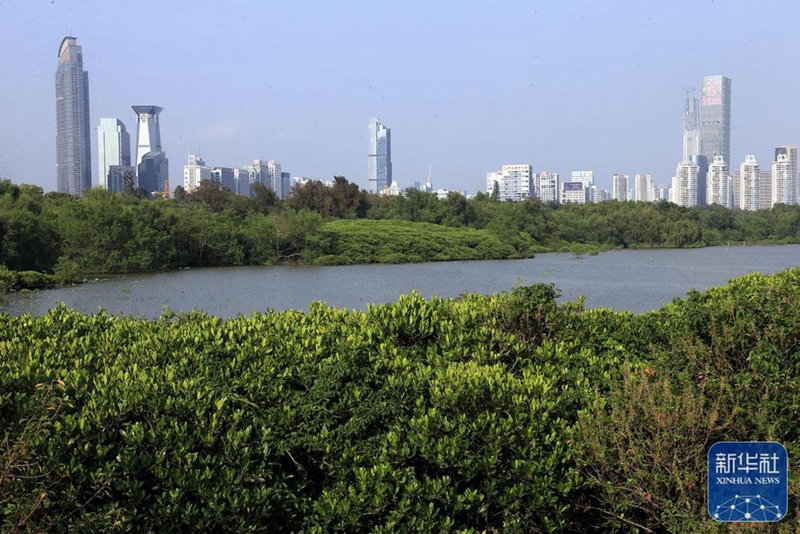 国际湿地展上中国湿地保护成就令人瞩目