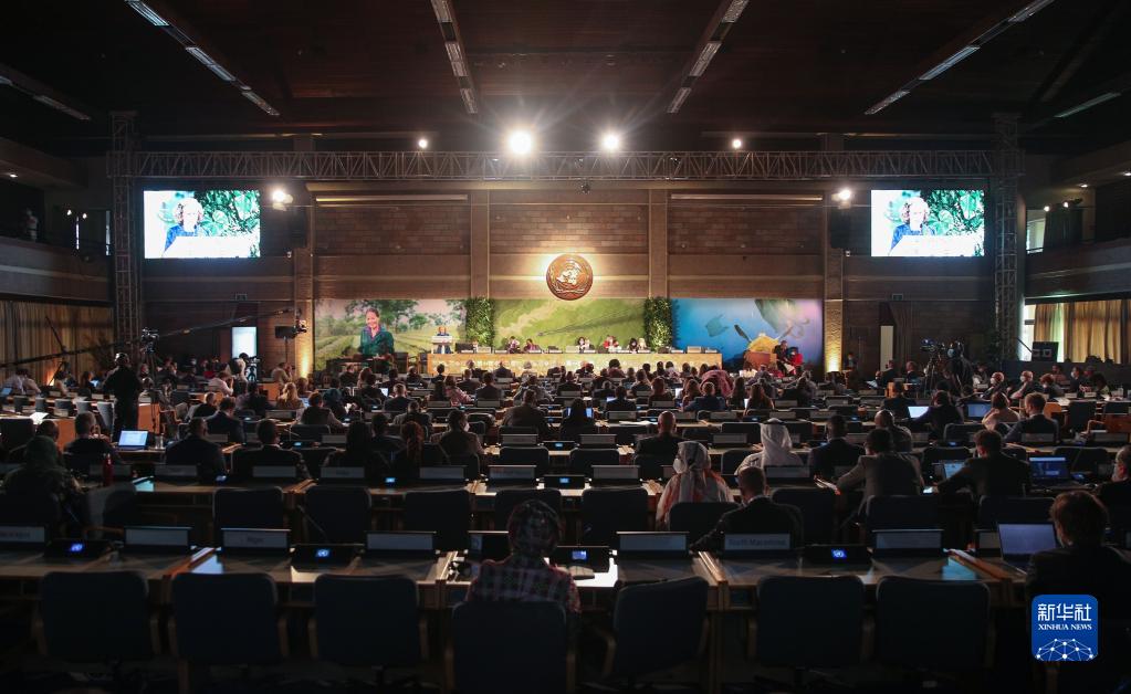 第五届联合国环境大会续会开幕　会议聚焦塑料污染
