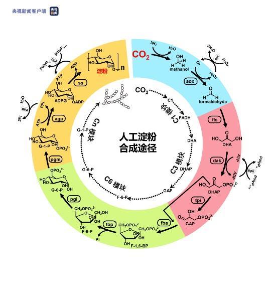 快来看！2021年度中国科学十大进展发布