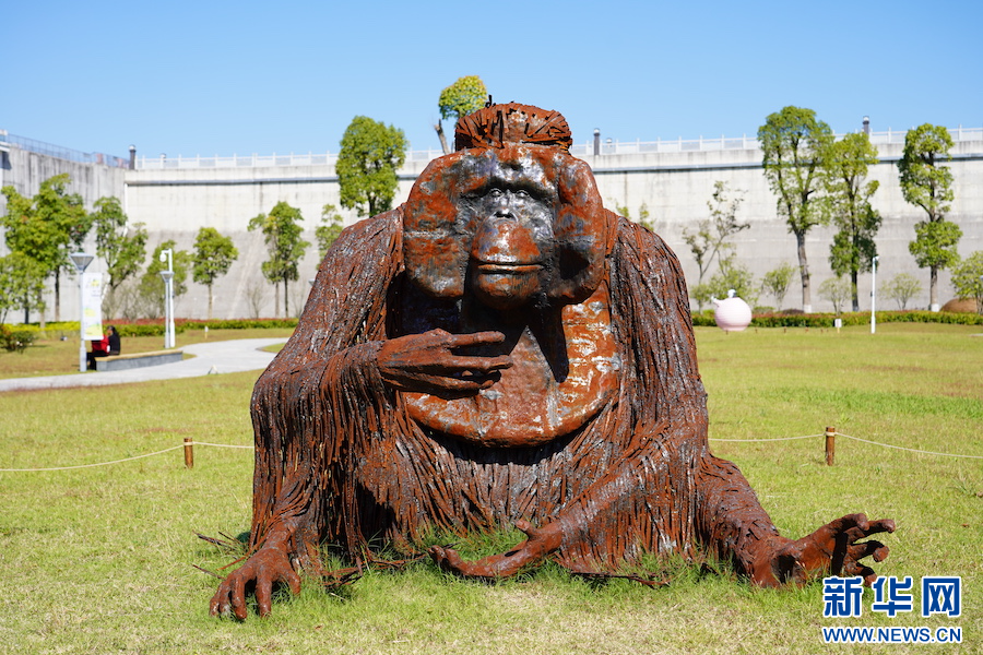 江西浮梁：奇妙“动物园” 在乡野间拥抱艺术