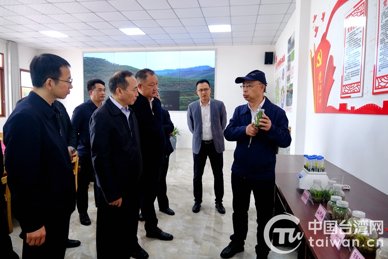 四川推动筹建“川台乡村振兴合作园”探索赋能乡村振兴新路径