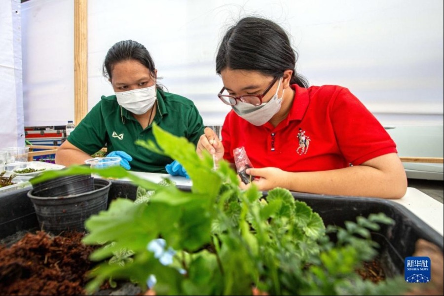 4月2日，在位于曼谷的泰国孤独症职业中心，一名孤独症患者（右）学习制作绿植盆景。新华社记者 王腾 摄