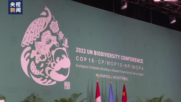 《生物多样性公约》第十五次缔约方大会第二阶段会议开幕