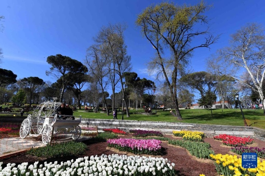4月8日，人们在土耳其伊斯坦布尔埃米尔甘公园内游玩。新华社记者 沙达提 摄