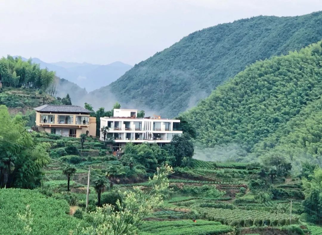 打卡浙西南小城，带你过一个治愈系夏天