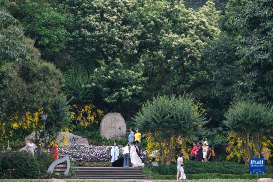 5月7日，游客在广西南宁市青秀山风景区空中花园景点游玩。新华社记者 周华 摄