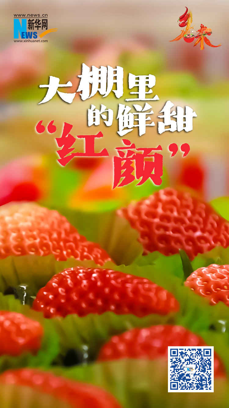 东港草莓：大棚里的鲜甜“红颜”