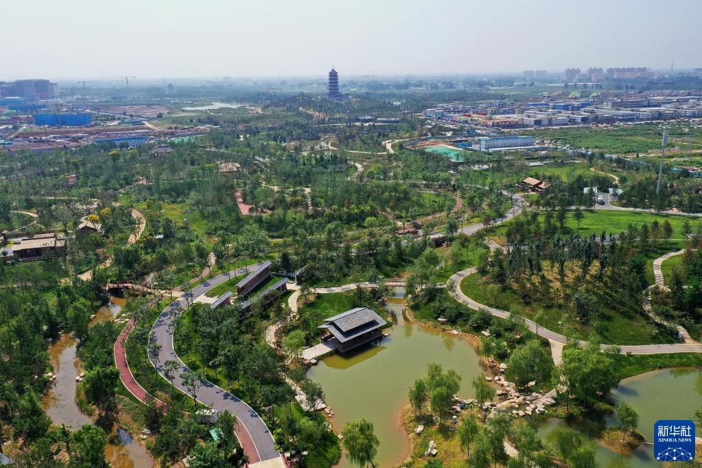 “瓣瓣同心”向阳开——习近平总书记谋划推动京津冀协同发展谱写新篇章