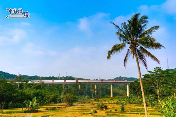 东南亚首条高铁！中印尼合建的雅万高铁开通运行_fororder_1