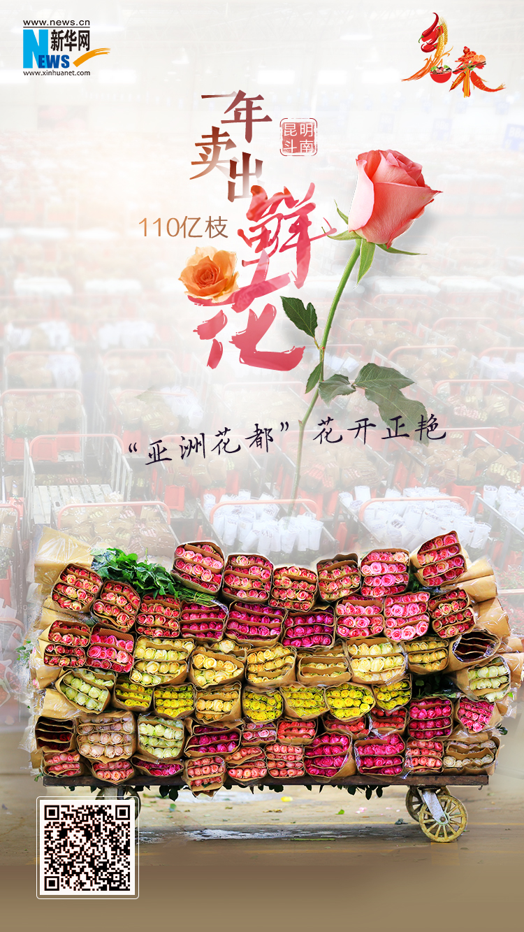昆明斗南：一年卖出110亿枝鲜花 “亚洲花都”花开正艳