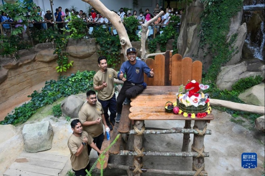 5月31日，在马来西亚吉隆坡附近的马来西亚国家动物园，大熊猫饲养员阿克迈勒（右）和他的团队与“升谊”的生日蛋糕合影。新华社记者 朱炜 摄