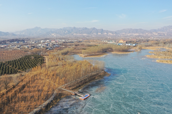 国际森林日丨城市森林公园建设：不负生态修复 不负城市春光