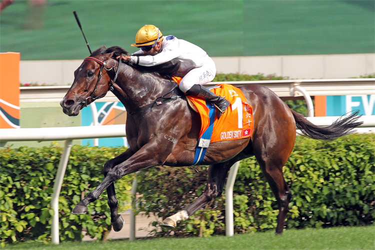 香港赛马会供图国际赛事日"富卫保险冠军赛马日"24日在香港沙田马场