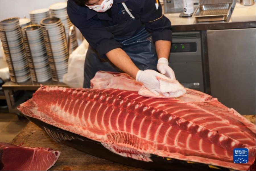 1月5日，厨师在日本东京表参道一家餐馆擦拭最高价金枪鱼的鱼肉。新华社记者 张笑宇 摄