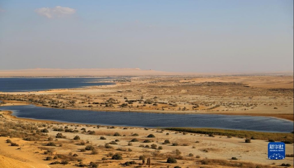 这是10月29日在埃及法尤姆省拍摄的绿洲景色。新华社记者 王东震 摄