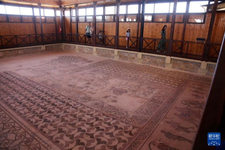 这是11月8日在塞浦路斯帕福斯考古公园内拍摄的马赛克地板。新华社记者 郭明芳 摄